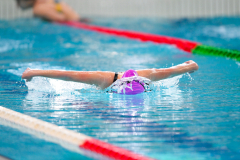 XXVIII Gran Premio Shark
20-21 Dicembre 2025
Piscina Scandone Napoli