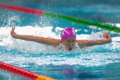 XXVIII Gran Premio Shark
20-21 Dicembre 2025
Piscina Scandone Napoli