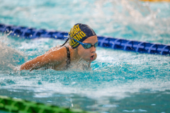 XXVIII Gran Premio Shark
20-21 Dicembre 2025
Piscina Scandone Napoli