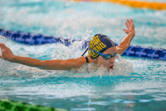 XXVIII Gran Premio Shark
20-21 Dicembre 2025
Piscina Scandone Napoli