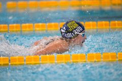 XXVIII Gran Premio Shark
20-21 Dicembre 2025
Piscina Scandone Napoli