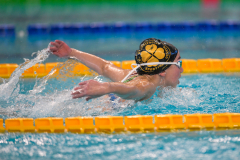 XXVIII Gran Premio Shark
20-21 Dicembre 2025
Piscina Scandone Napoli