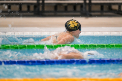 XXVIII Gran Premio Shark
20-21 Dicembre 2025
Piscina Scandone Napoli