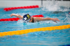 XXVIII Gran Premio Shark
20-21 Dicembre 2025
Piscina Scandone Napoli