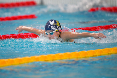 XXVIII Gran Premio Shark
20-21 Dicembre 2025
Piscina Scandone Napoli