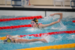 XXVIII Gran Premio Shark
20-21 Dicembre 2025
Piscina Scandone Napoli