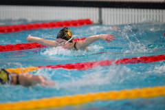 XXVIII Gran Premio Shark
20-21 Dicembre 2025
Piscina Scandone Napoli