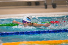 XXVIII Gran Premio Shark
20-21 Dicembre 2025
Piscina Scandone Napoli