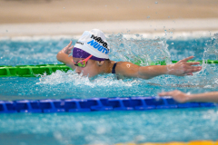 XXVIII Gran Premio Shark
20-21 Dicembre 2025
Piscina Scandone Napoli