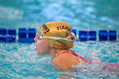 XXVIII Gran Premio Shark20-21 Dicembre 2025Piscina Scandone Napoli