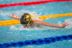 XXVIII Gran Premio Shark20-21 Dicembre 2025Piscina Scandone Napoli