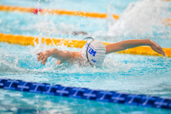 XXVIII Gran Premio Shark
20-21 Dicembre 2025
Piscina Scandone Napoli