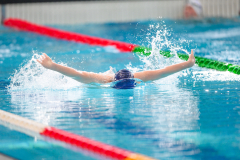 XXVIII Gran Premio Shark
20-21 Dicembre 2025
Piscina Scandone Napoli