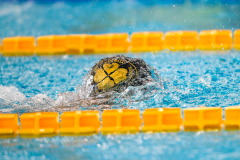 XXVIII Gran Premio Shark
20-21 Dicembre 2025
Piscina Scandone Napoli