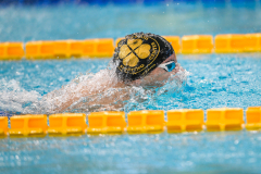 XXVIII Gran Premio Shark
20-21 Dicembre 2025
Piscina Scandone Napoli