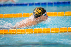 XXVIII Gran Premio Shark
20-21 Dicembre 2025
Piscina Scandone Napoli