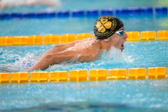 XXVIII Gran Premio Shark
20-21 Dicembre 2025
Piscina Scandone Napoli