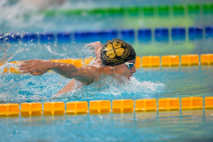 XXVIII Gran Premio Shark
20-21 Dicembre 2025
Piscina Scandone Napoli