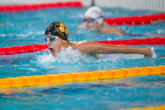 XXVIII Gran Premio Shark
20-21 Dicembre 2025
Piscina Scandone Napoli