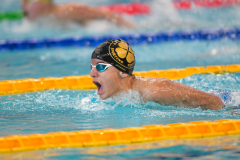 XXVIII Gran Premio Shark
20-21 Dicembre 2025
Piscina Scandone Napoli