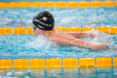 XXVIII Gran Premio Shark
20-21 Dicembre 2025
Piscina Scandone Napoli