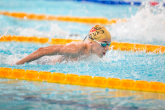 XXVIII Gran Premio Shark
20-21 Dicembre 2025
Piscina Scandone Napoli