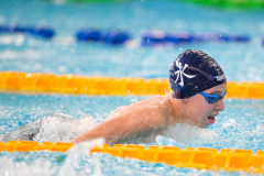 XXVIII Gran Premio Shark
20-21 Dicembre 2025
Piscina Scandone Napoli