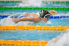 XXVIII Gran Premio Shark
20-21 Dicembre 2025
Piscina Scandone Napoli