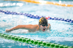 XXVIII Gran Premio Shark
20-21 Dicembre 2025
Piscina Scandone Napoli