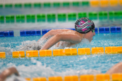 XXVIII Gran Premio Shark
20-21 Dicembre 2025
Piscina Scandone Napoli