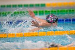 XXVIII Gran Premio Shark
20-21 Dicembre 2025
Piscina Scandone Napoli