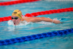 XXVIII Gran Premio Shark
20-21 Dicembre 2025
Piscina Scandone Napoli