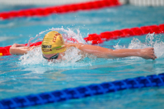 XXVIII Gran Premio Shark
20-21 Dicembre 2025
Piscina Scandone Napoli