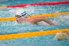 XXVIII Gran Premio Shark
20-21 Dicembre 2025
Piscina Scandone Napoli