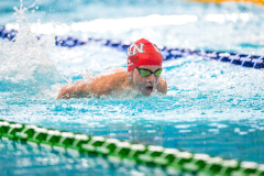 XXVIII Gran Premio Shark
20-21 Dicembre 2025
Piscina Scandone Napoli