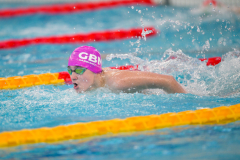 XXVIII Gran Premio Shark
20-21 Dicembre 2025
Piscina Scandone Napoli