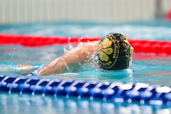XXVIII Gran Premio Shark20-21 Dicembre 2025Piscina Scandone Napoli