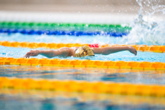 XXVIII Gran Premio Shark20-21 Dicembre 2025Piscina Scandone Napoli