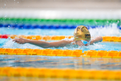XXVIII Gran Premio Shark20-21 Dicembre 2025Piscina Scandone Napoli
