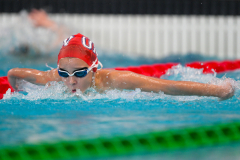 XXVIII Gran Premio Shark20-21 Dicembre 2025Piscina Scandone Napoli