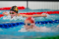XXVIII Gran Premio Shark20-21 Dicembre 2025Piscina Scandone Napoli