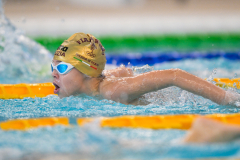 XXVIII Gran Premio Shark20-21 Dicembre 2025Piscina Scandone Napoli