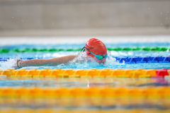 XXVIII Gran Premio Shark20-21 Dicembre 2025Piscina Scandone Napoli