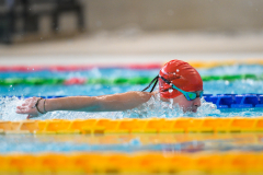 XXVIII Gran Premio Shark20-21 Dicembre 2025Piscina Scandone Napoli