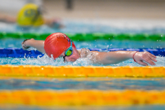 XXVIII Gran Premio Shark20-21 Dicembre 2025Piscina Scandone Napoli