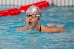 XXVIII Gran Premio Shark20-21 Dicembre 2025Piscina Scandone Napoli