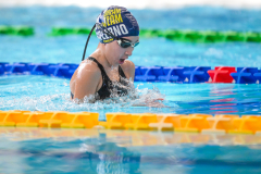 XXVIII Gran Premio Shark20-21 Dicembre 2025Piscina Scandone Napoli