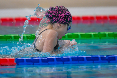 XXVIII Gran Premio Shark20-21 Dicembre 2025Piscina Scandone Napoli