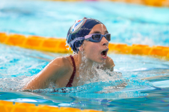 XXVIII Gran Premio Shark
20-21 Dicembre 2025
Piscina Scandone Napoli