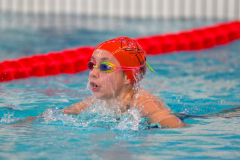 XXVIII Gran Premio Shark
20-21 Dicembre 2025
Piscina Scandone Napoli